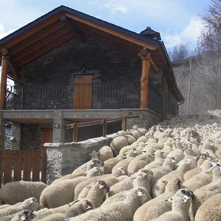 La Cabanya De Cal Forn De Serrat Queralbs Ngoại thất bức ảnh